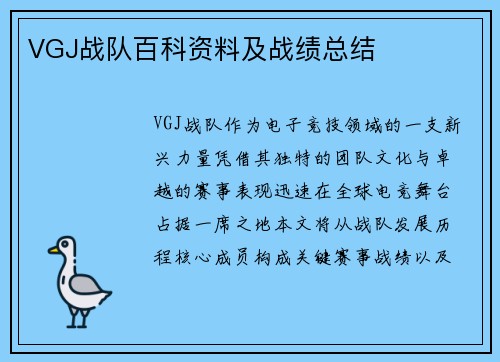 VGJ战队百科资料及战绩总结